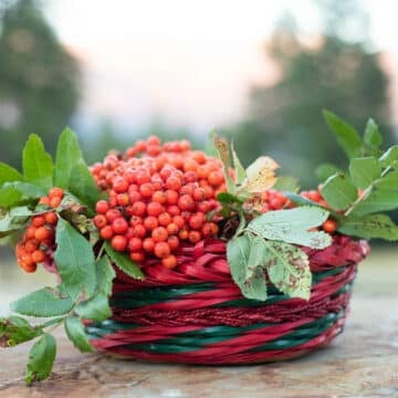 rowanberries in a basket