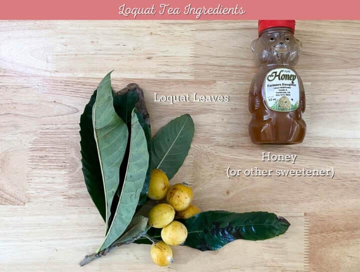 Loquat Tea Recipe Hilda's Kitchen Blog