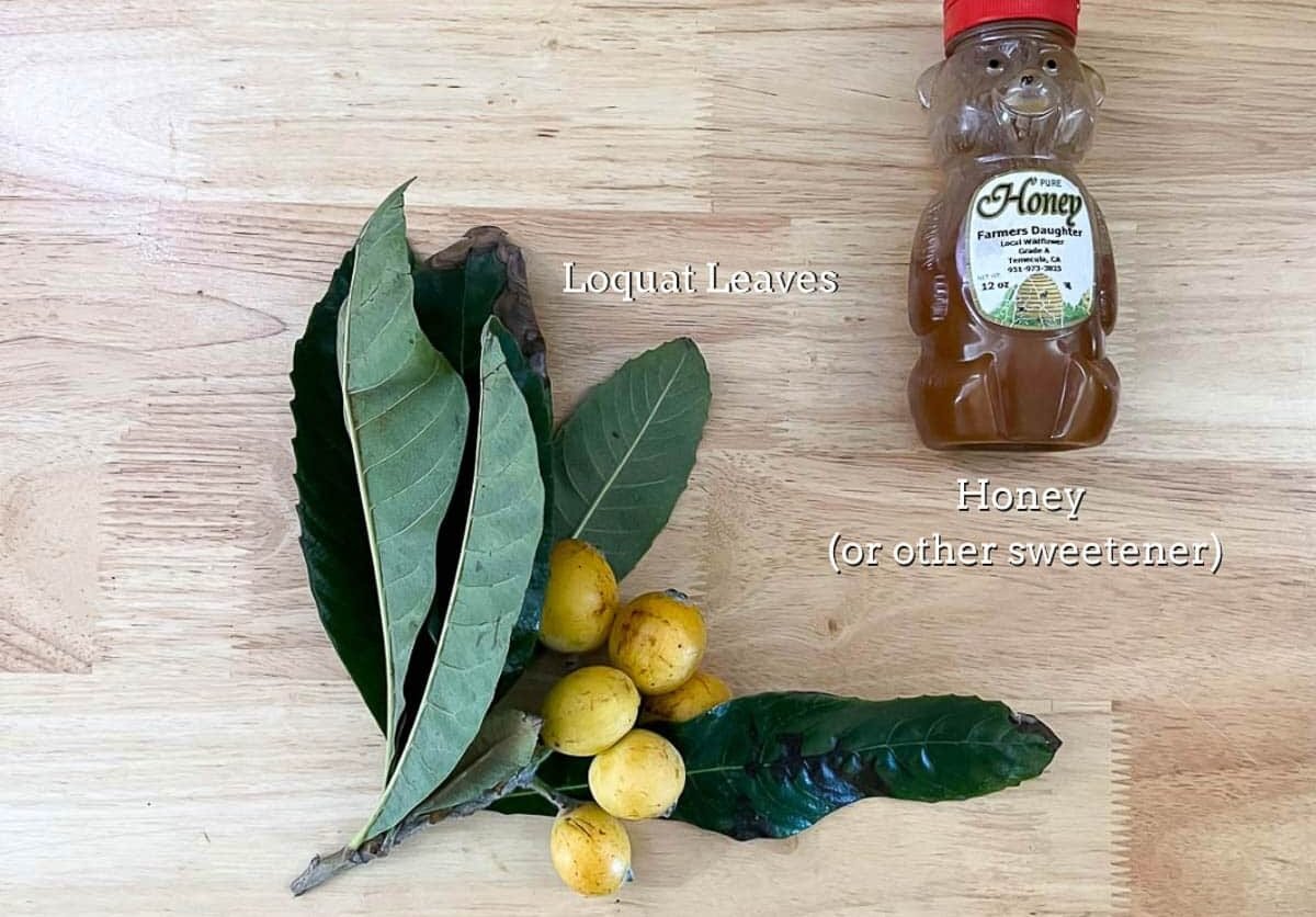 loquat leaf tea ingredients.