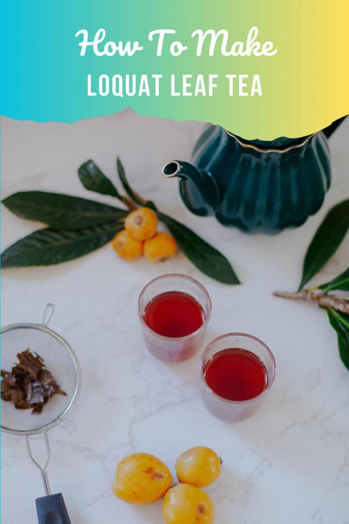 loquat tea with teapot and fruit
