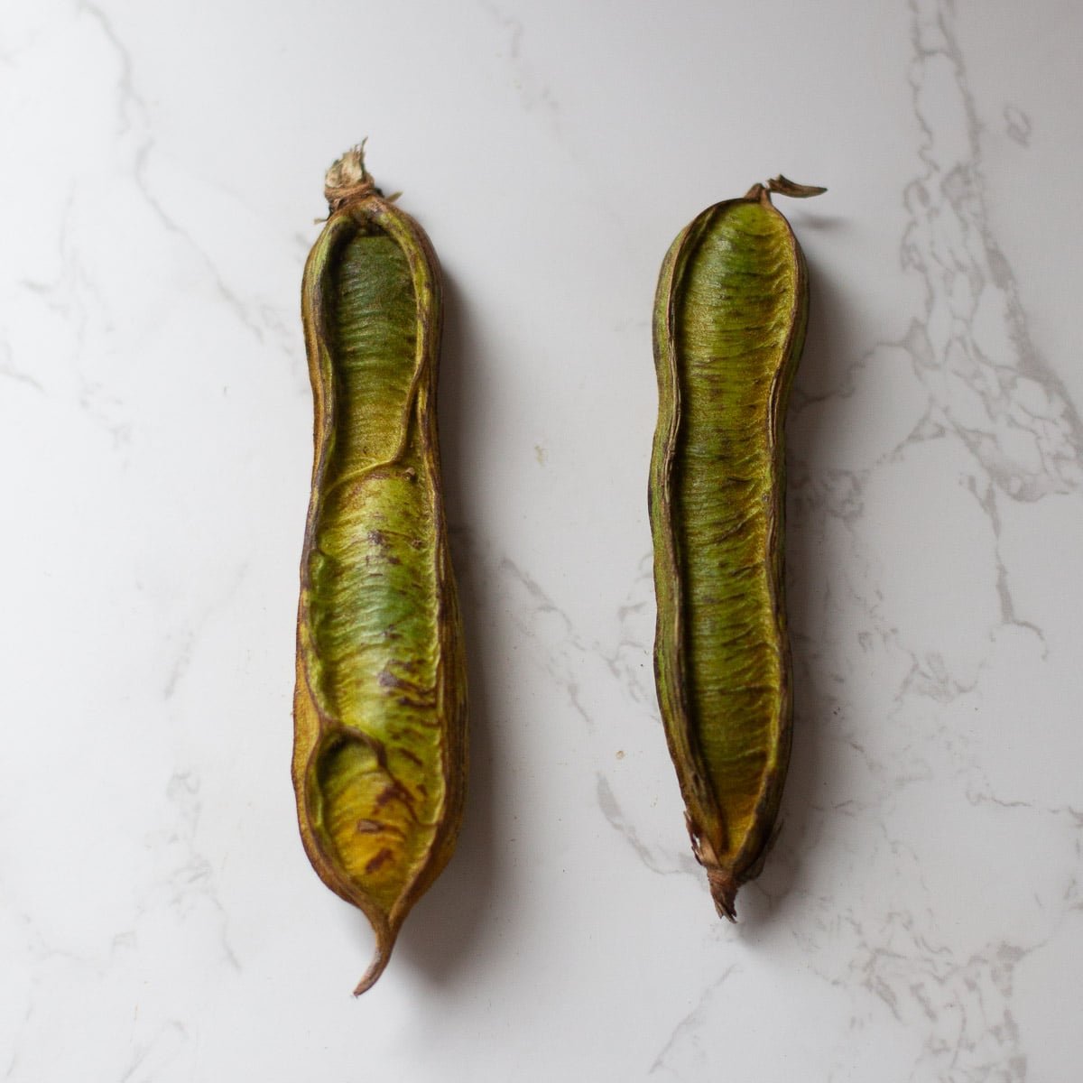 green exterior of two ice cream bean pods
