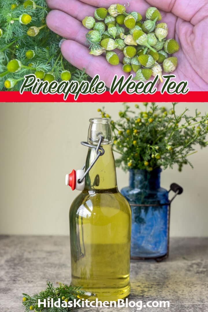 pineapple weed tea in a bottle with another picture of some flowers in a palm