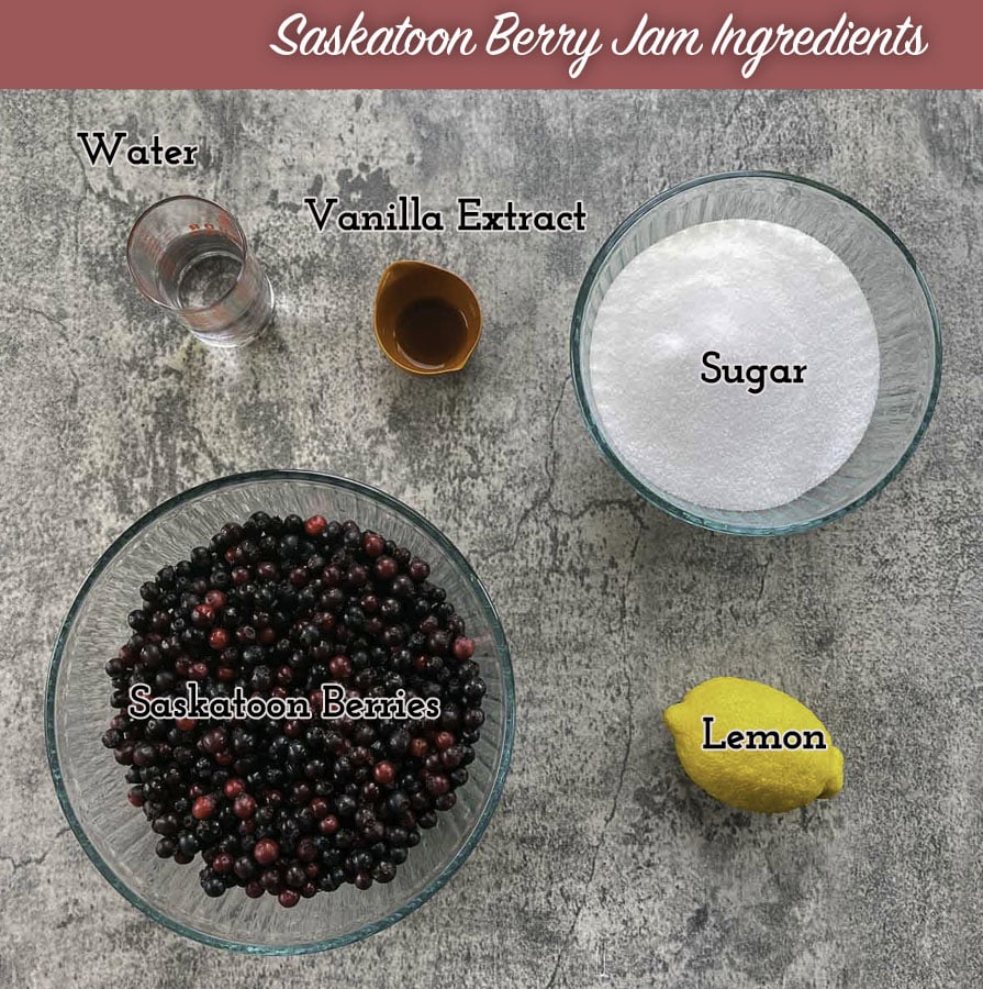 saskatoon berry jam ingredients