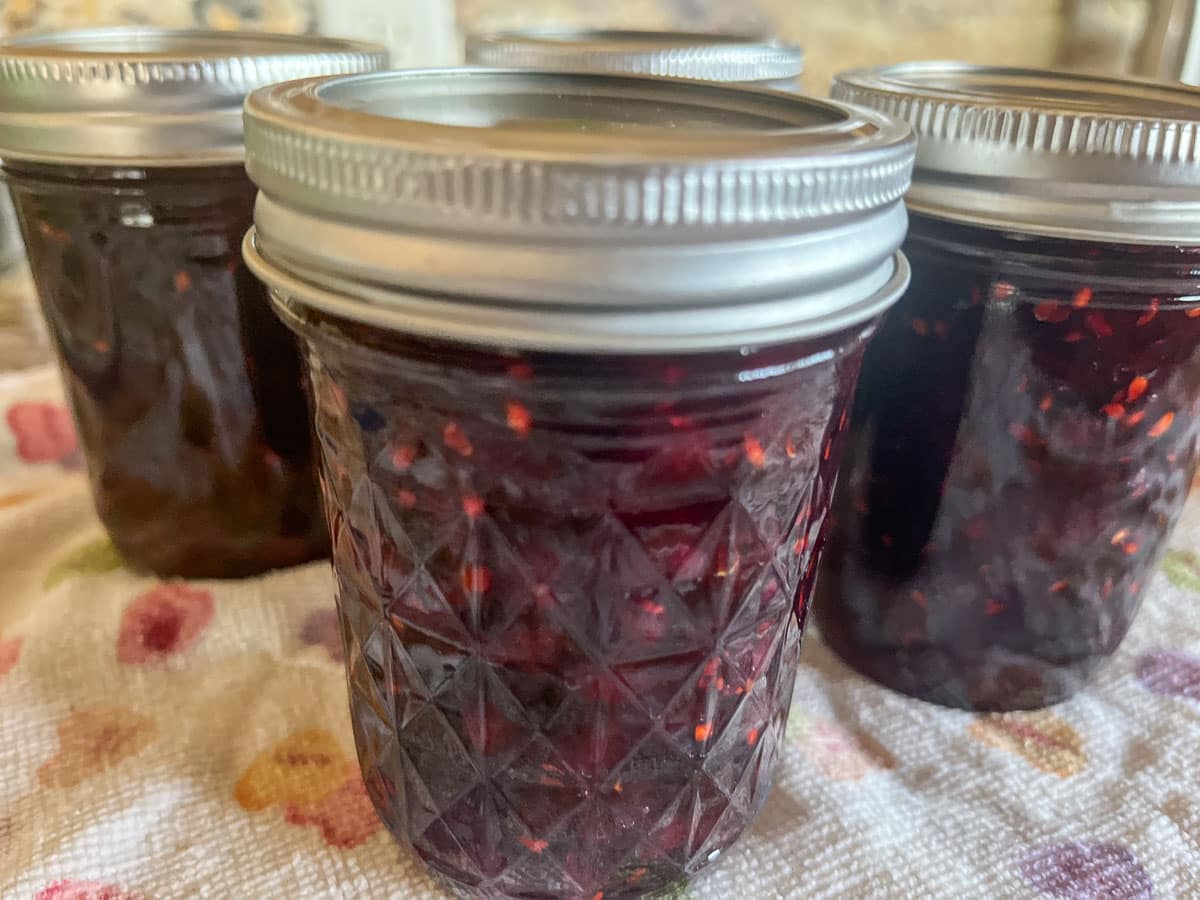 Saskatoon berry jam in jars