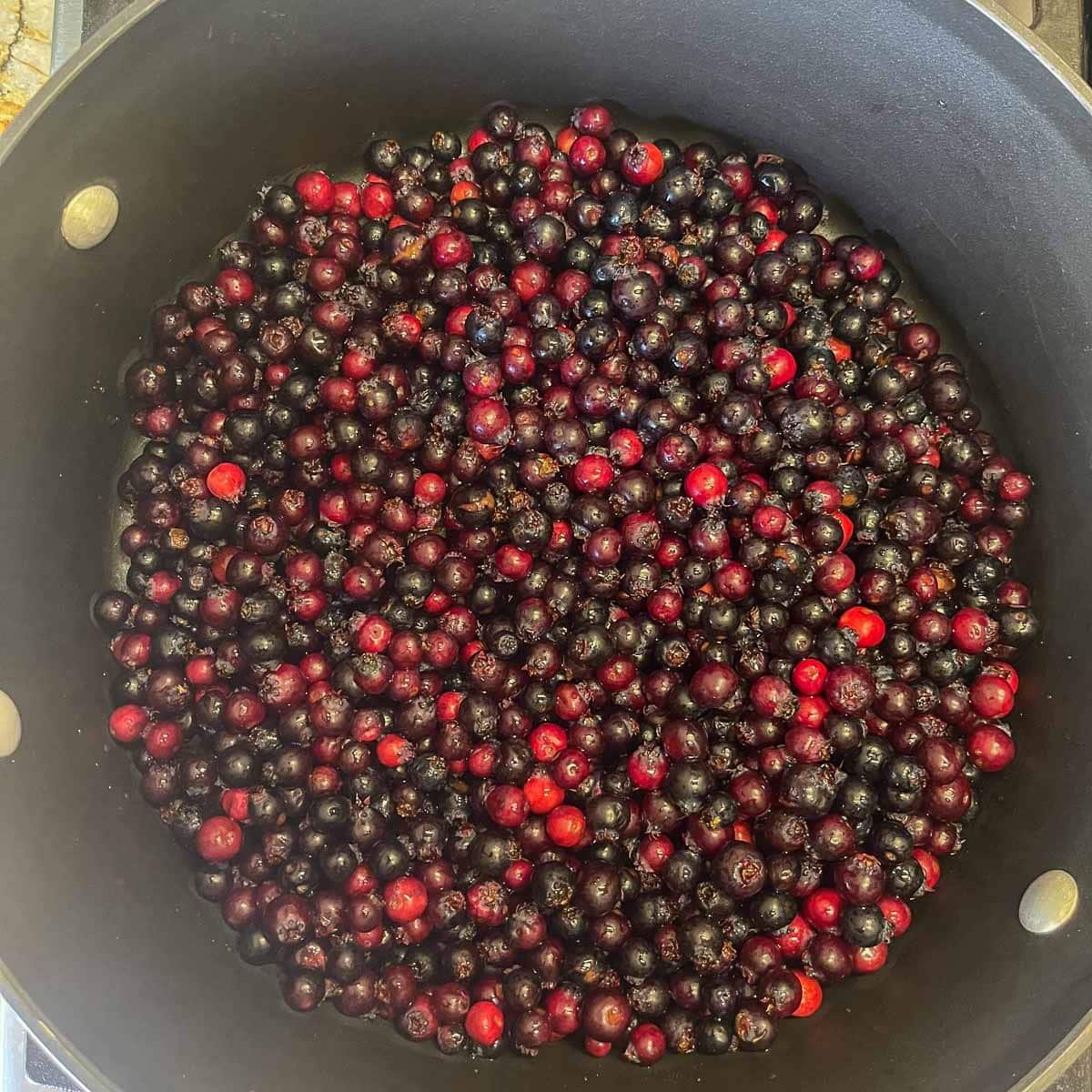 Saskatoon berries in a pot