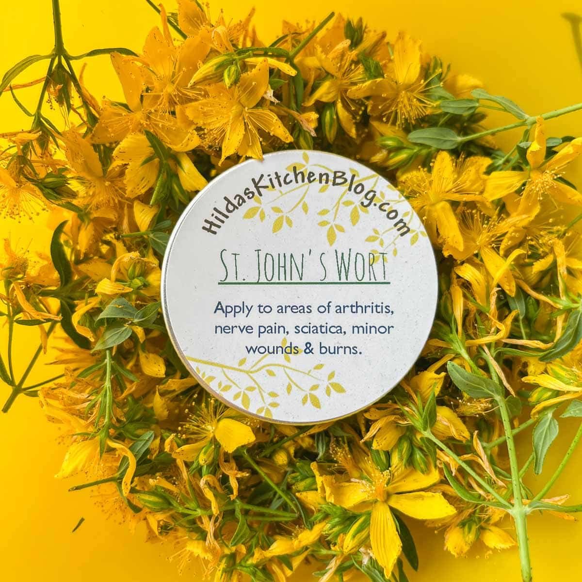 st john's wort salve in a tin with flowers around it