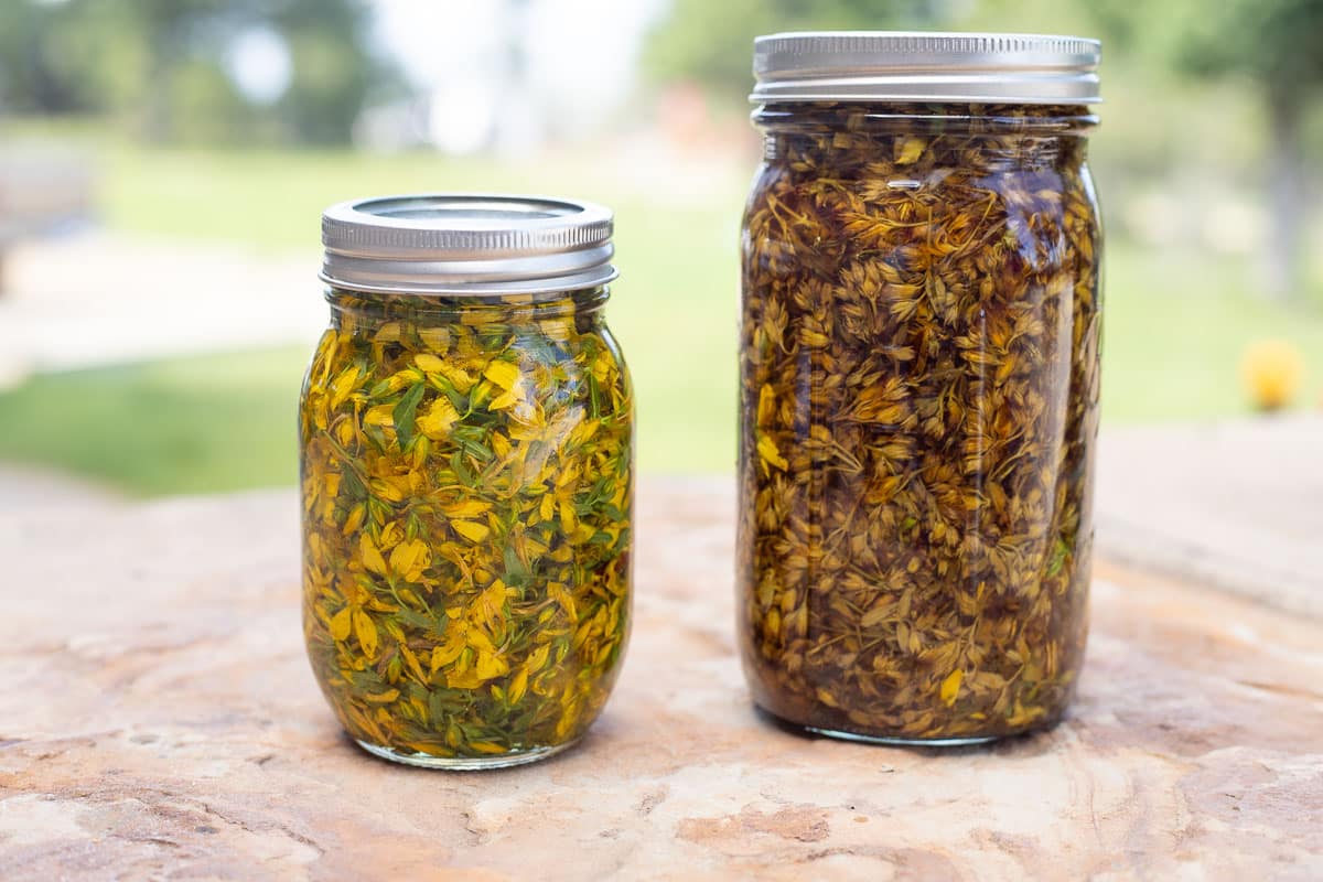 2 jars of st Johns wort oil with flowers
