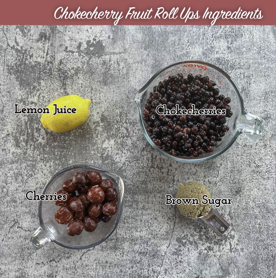 chokecherry fruit roll ups recipe ingredients