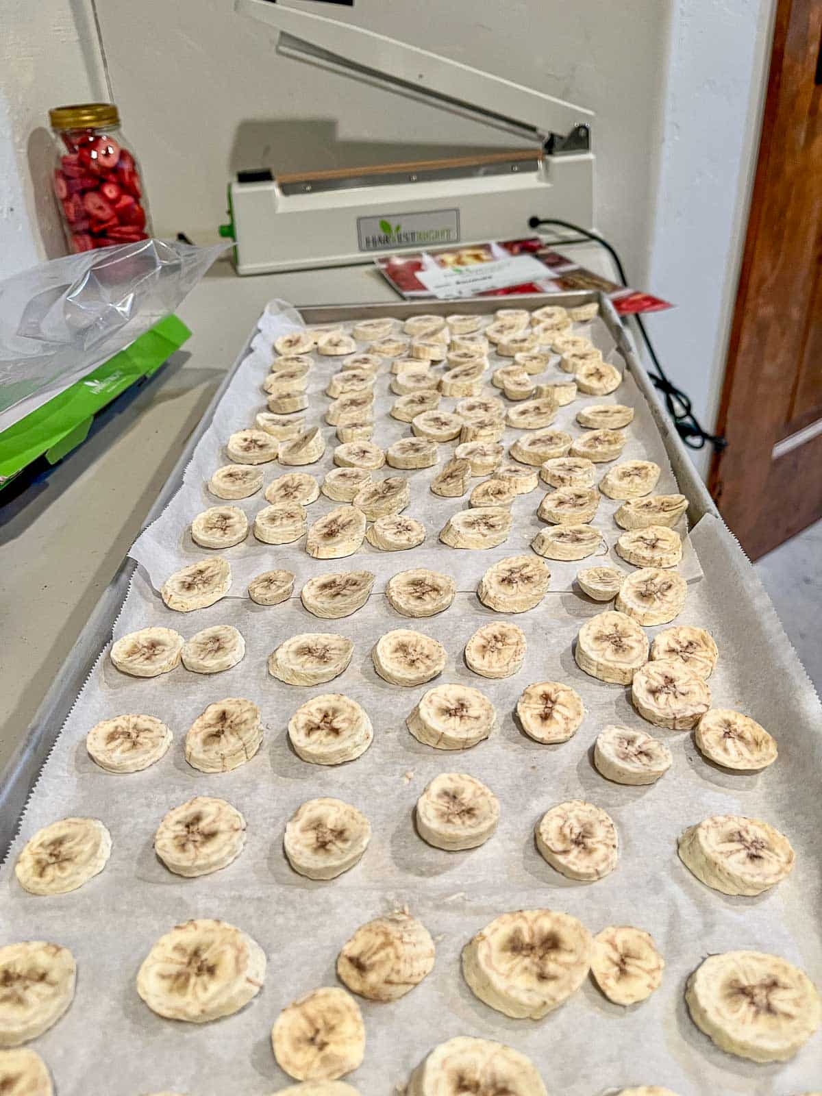 freeze dried banana slices on a tray