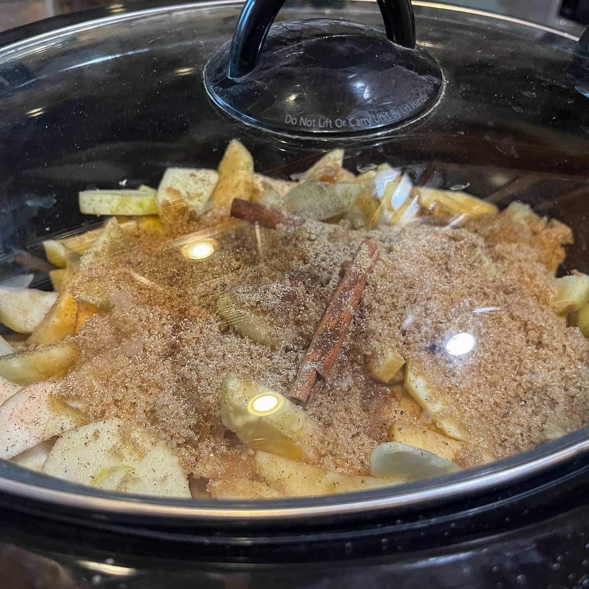 applesauce ingredients in a crockpot