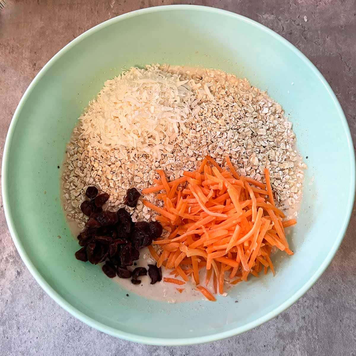 bowl after adding oats, coconut, carrots, craisins (unmixed)