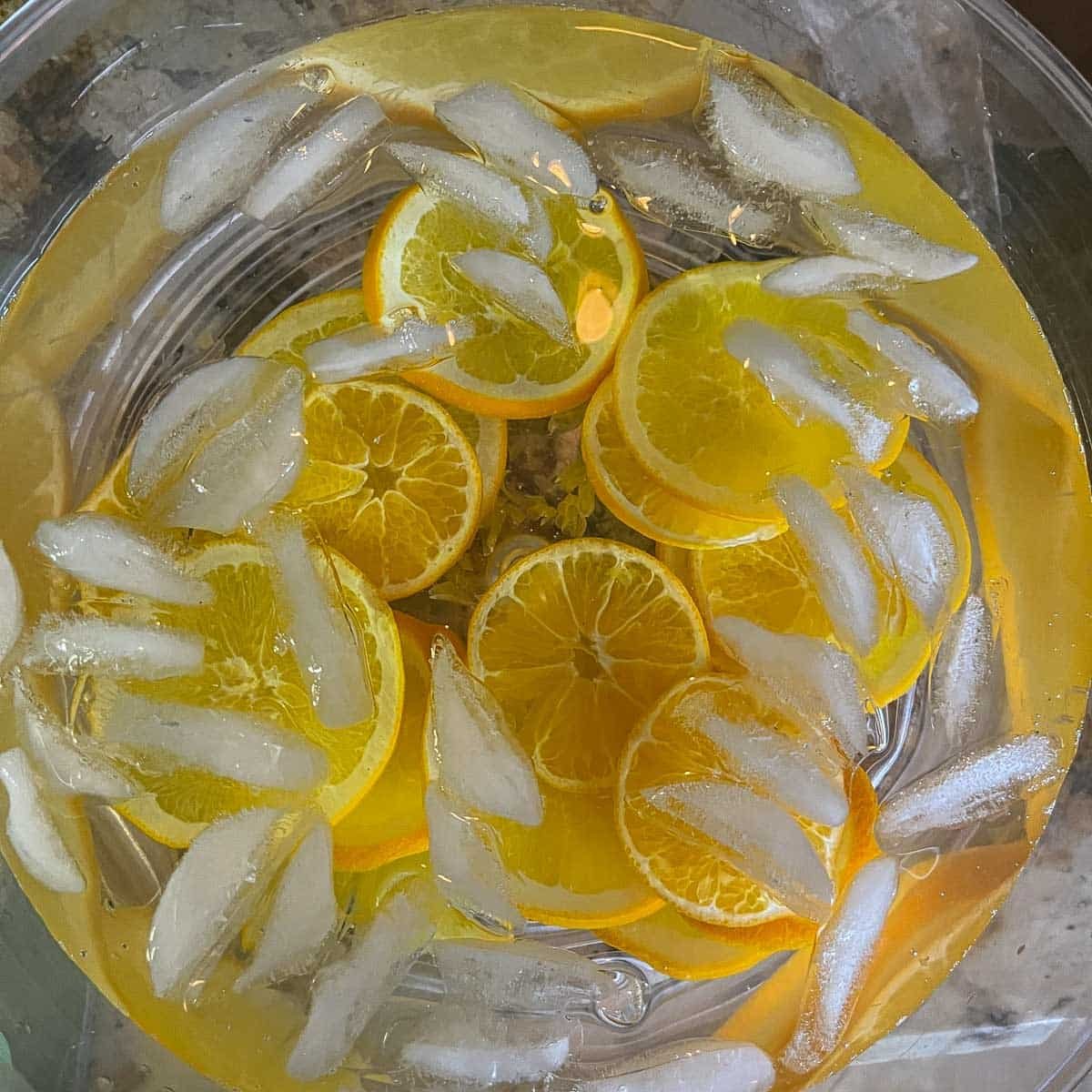 candied orange slices in ice water