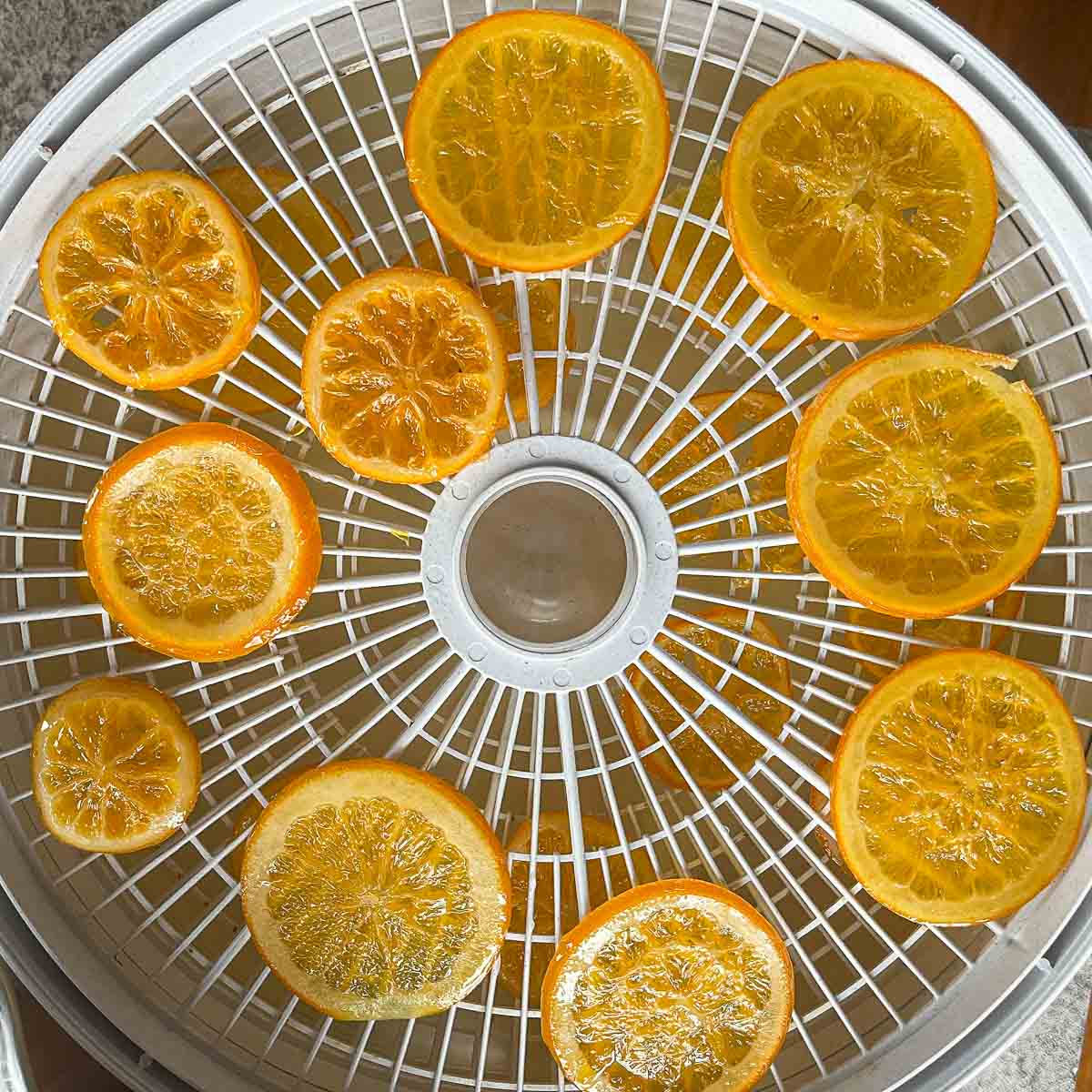 candied orange slices on a dehydrator