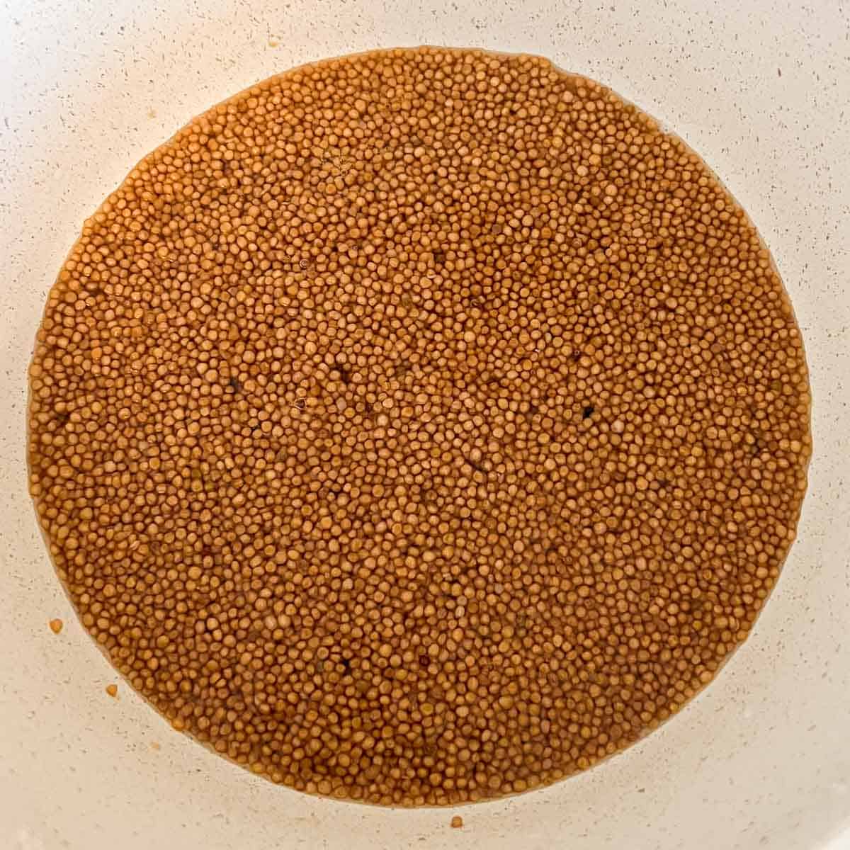 seeds after cooking