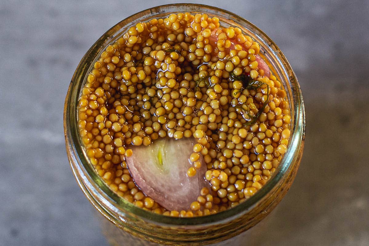 closeup of pickled mustard seeds with chopped shallot mixed in