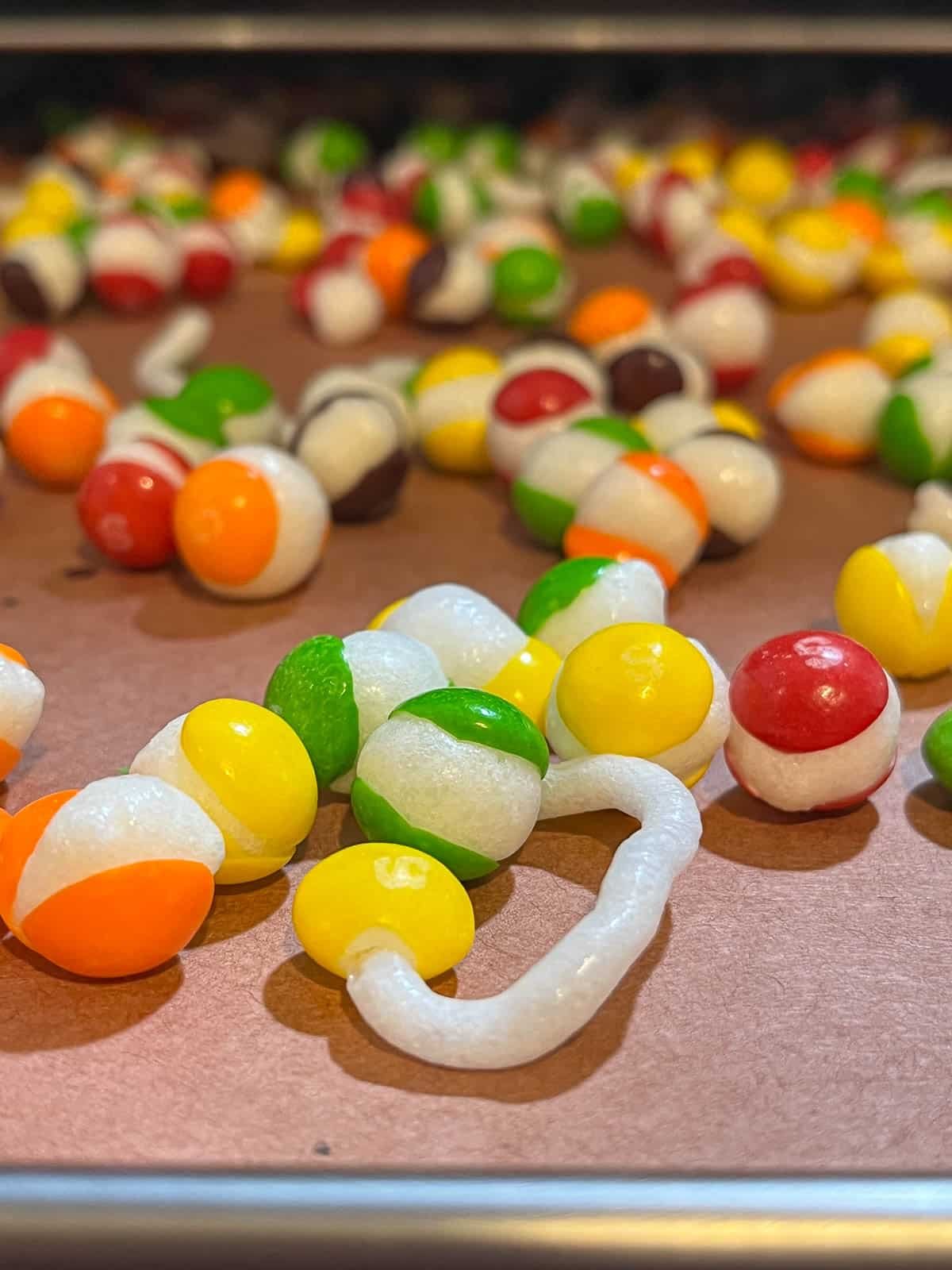 close up of freeze dried skittles on a tray