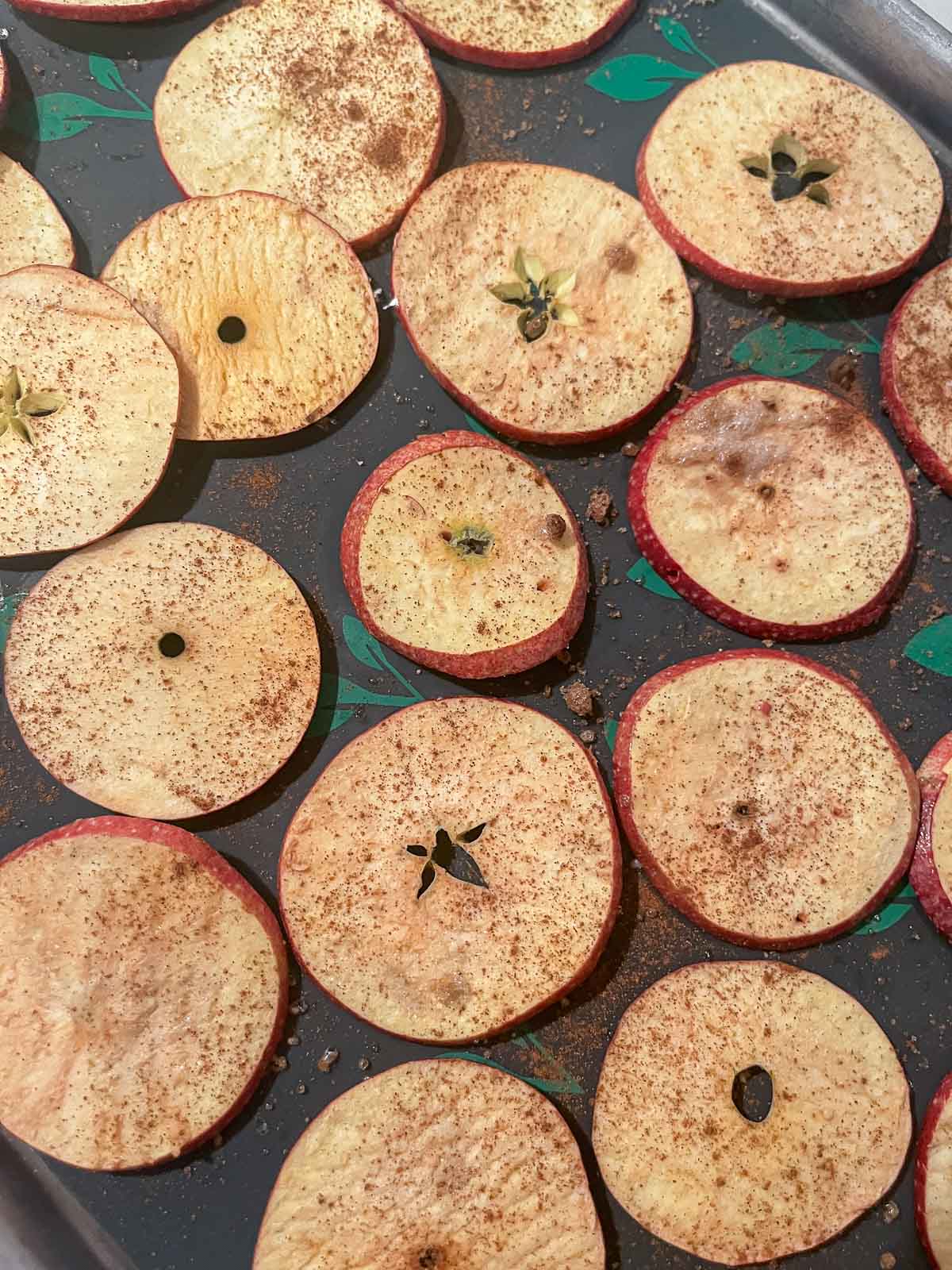 freeze dried apple slices