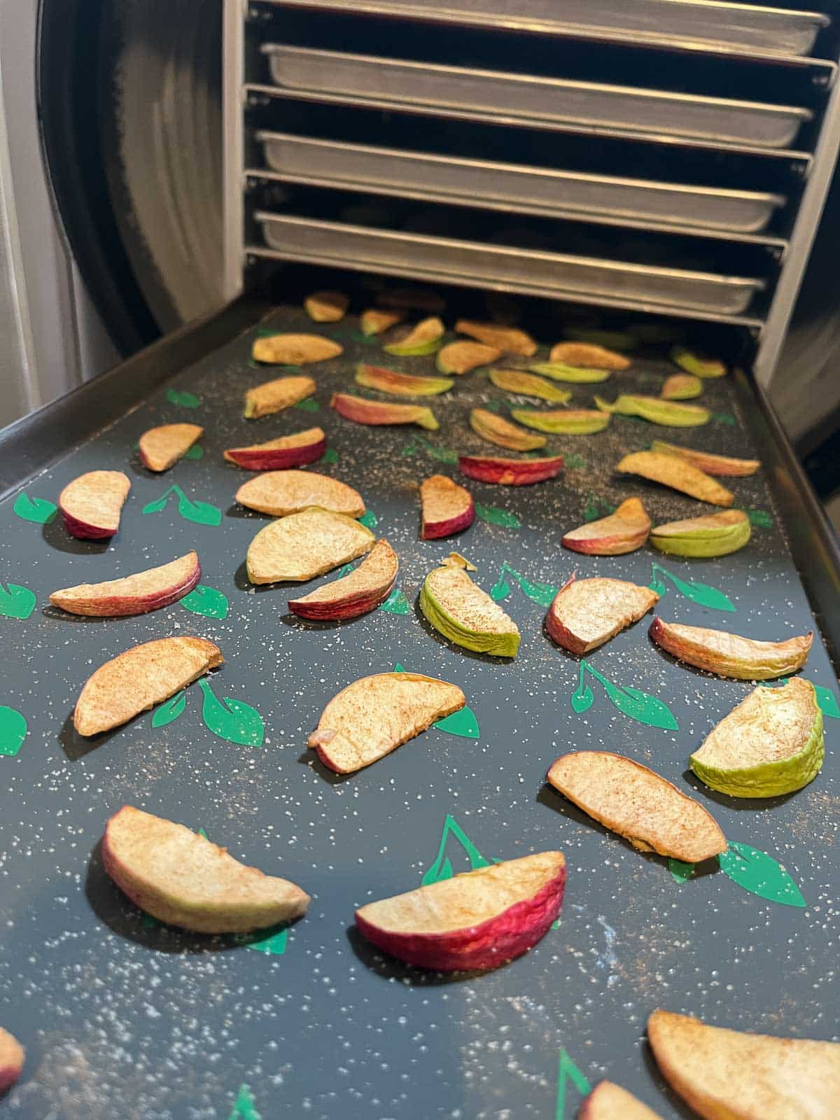 sliced apples on freeze dryer trays