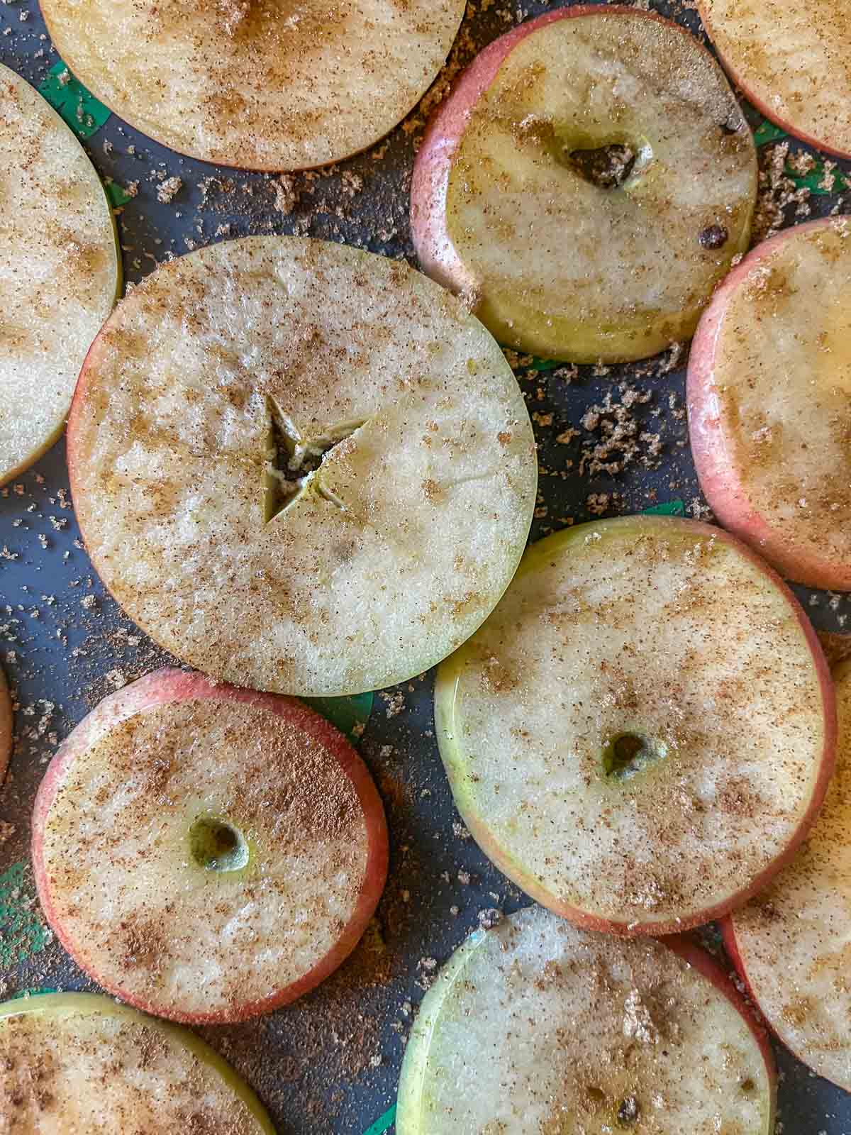sliced apples on freeze dryer tray sprinkled with brown sugar and spices