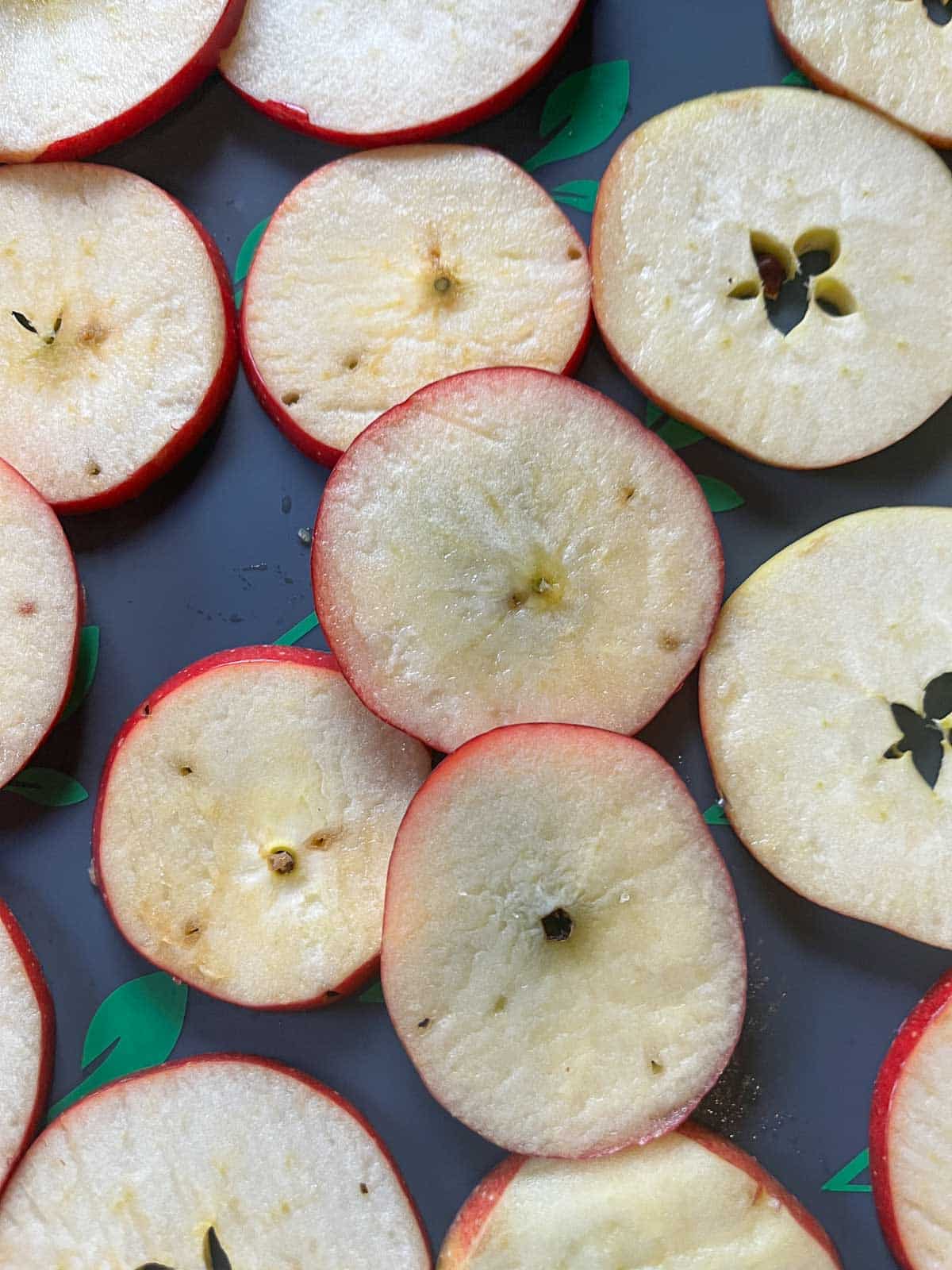 sliced apples on freeze dryer tray