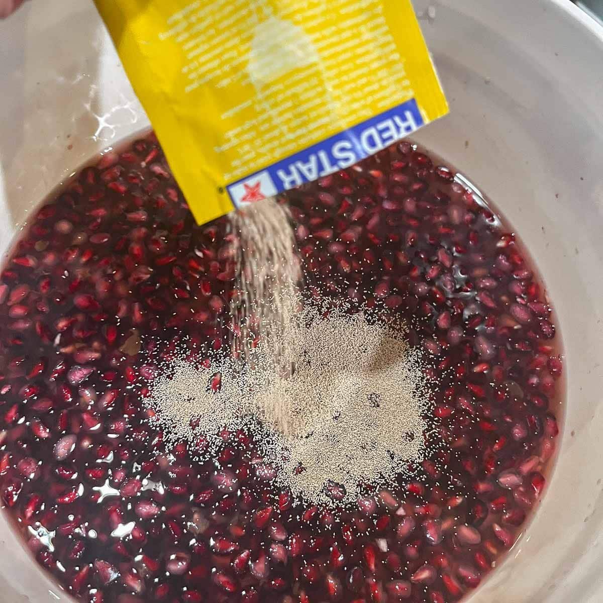 adding yeast to adding chemicals to pomegranate wine must
