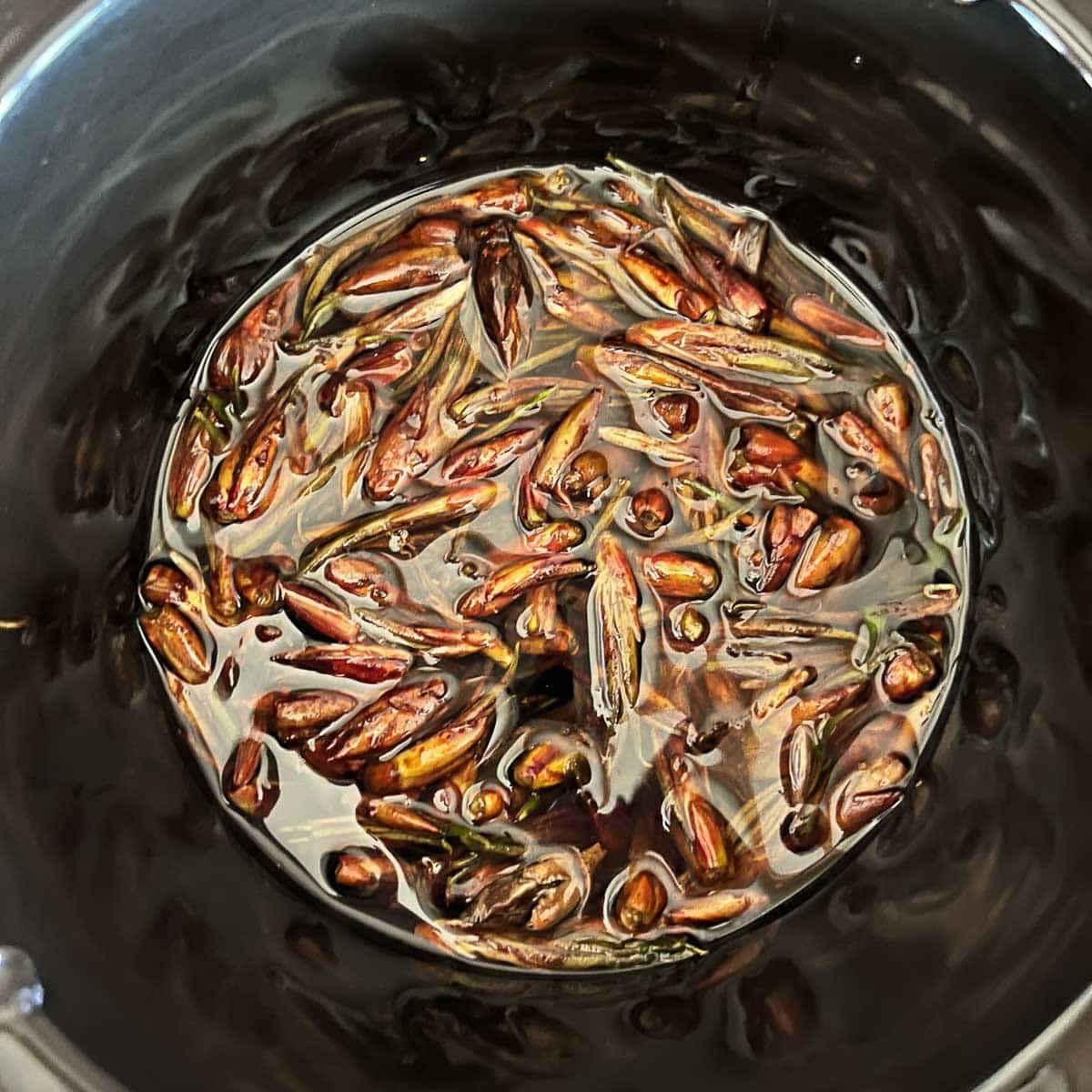 top view of balm of gilead in crockpot.