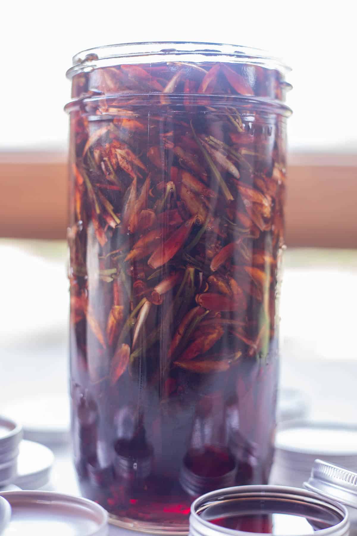 balm of gilead in a jar in the windowsill 