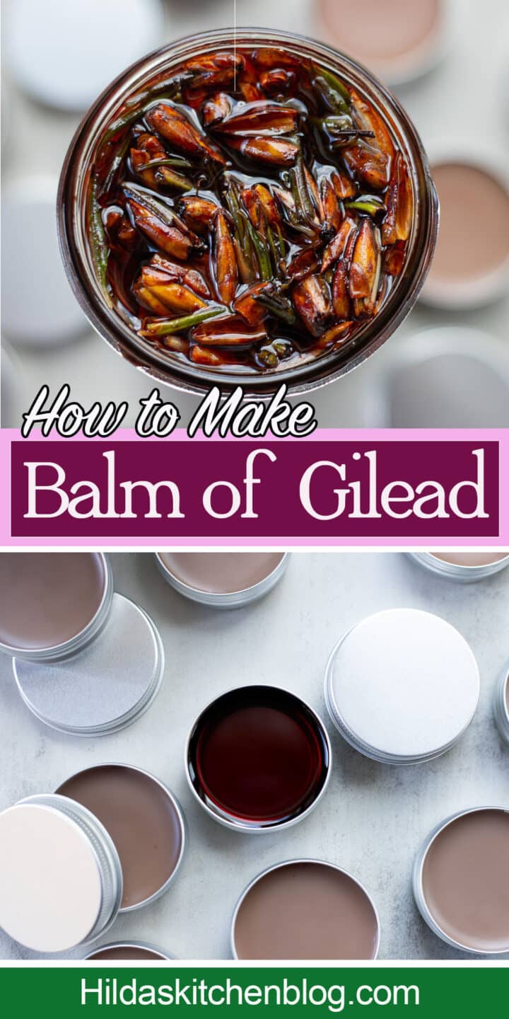 balm of gilead