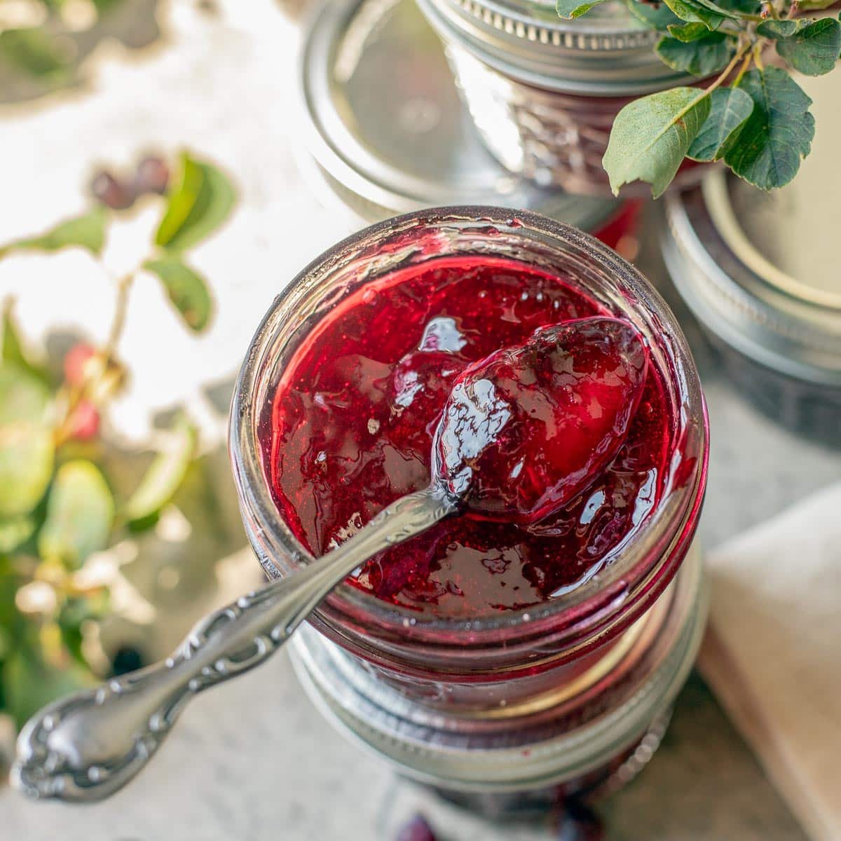 serviceberry jelly