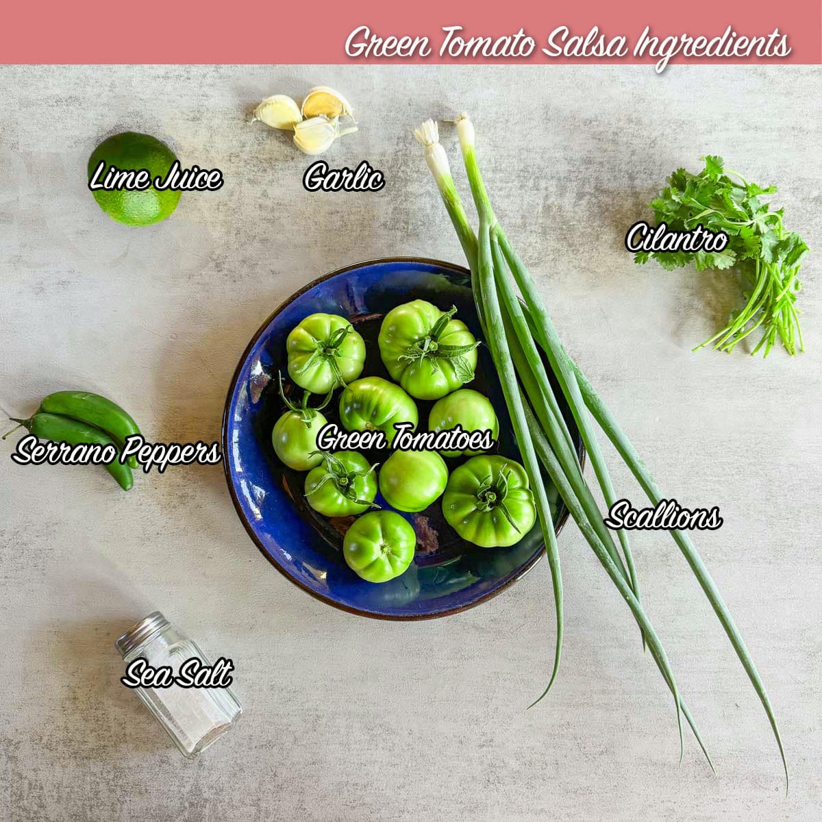 green tomato salsa ingredients.