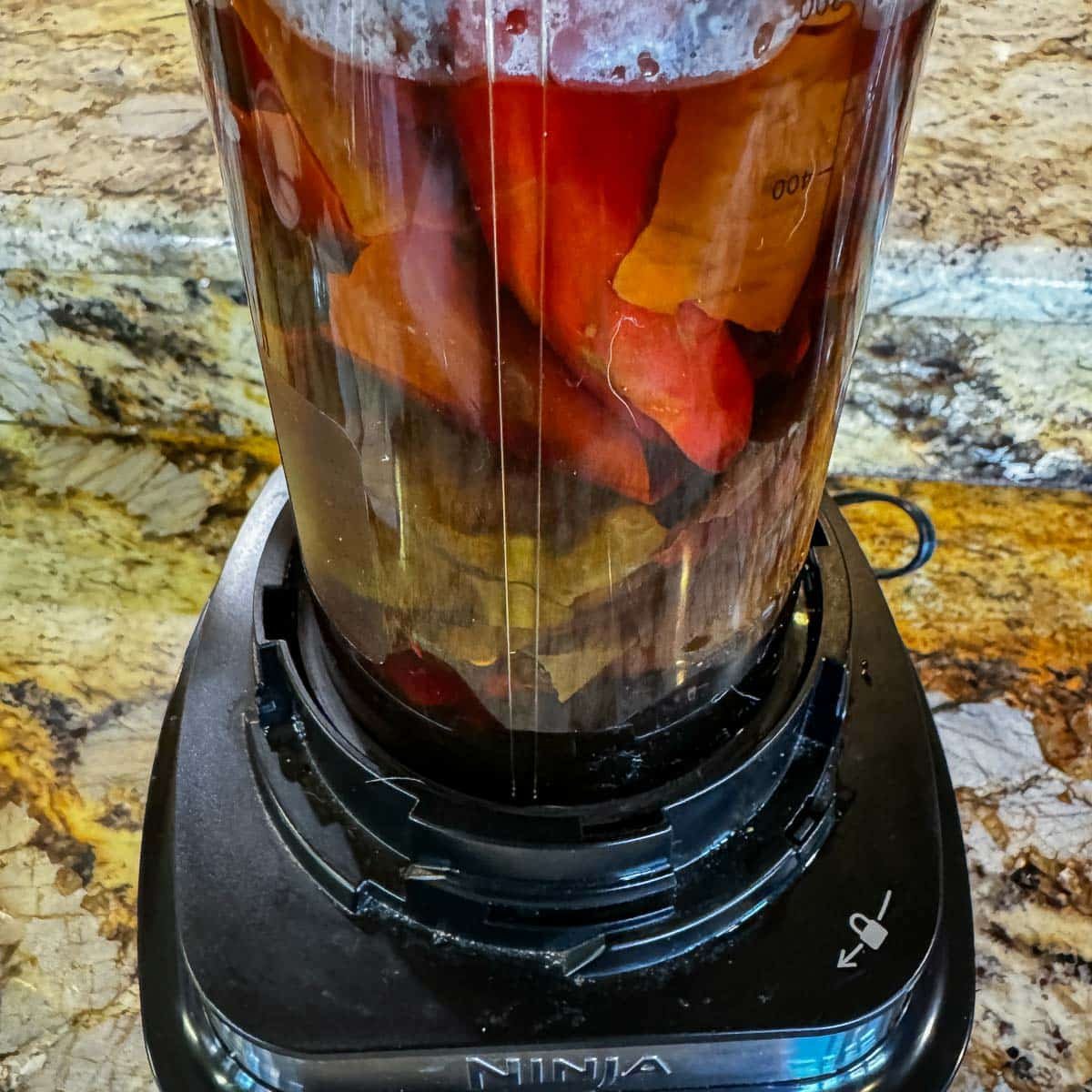 dried chiles in a blender with water. 