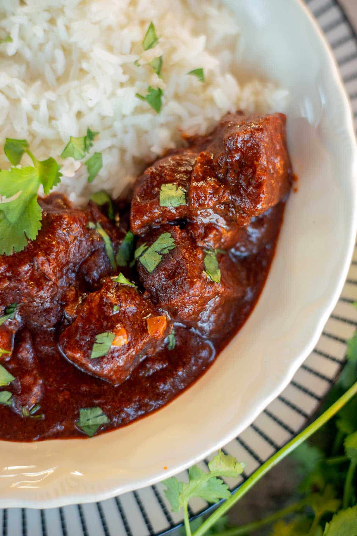 chile colorado with rice and chopped cilantro.