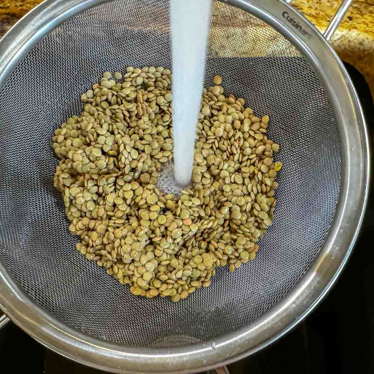 lentils being washed in a strainer. 