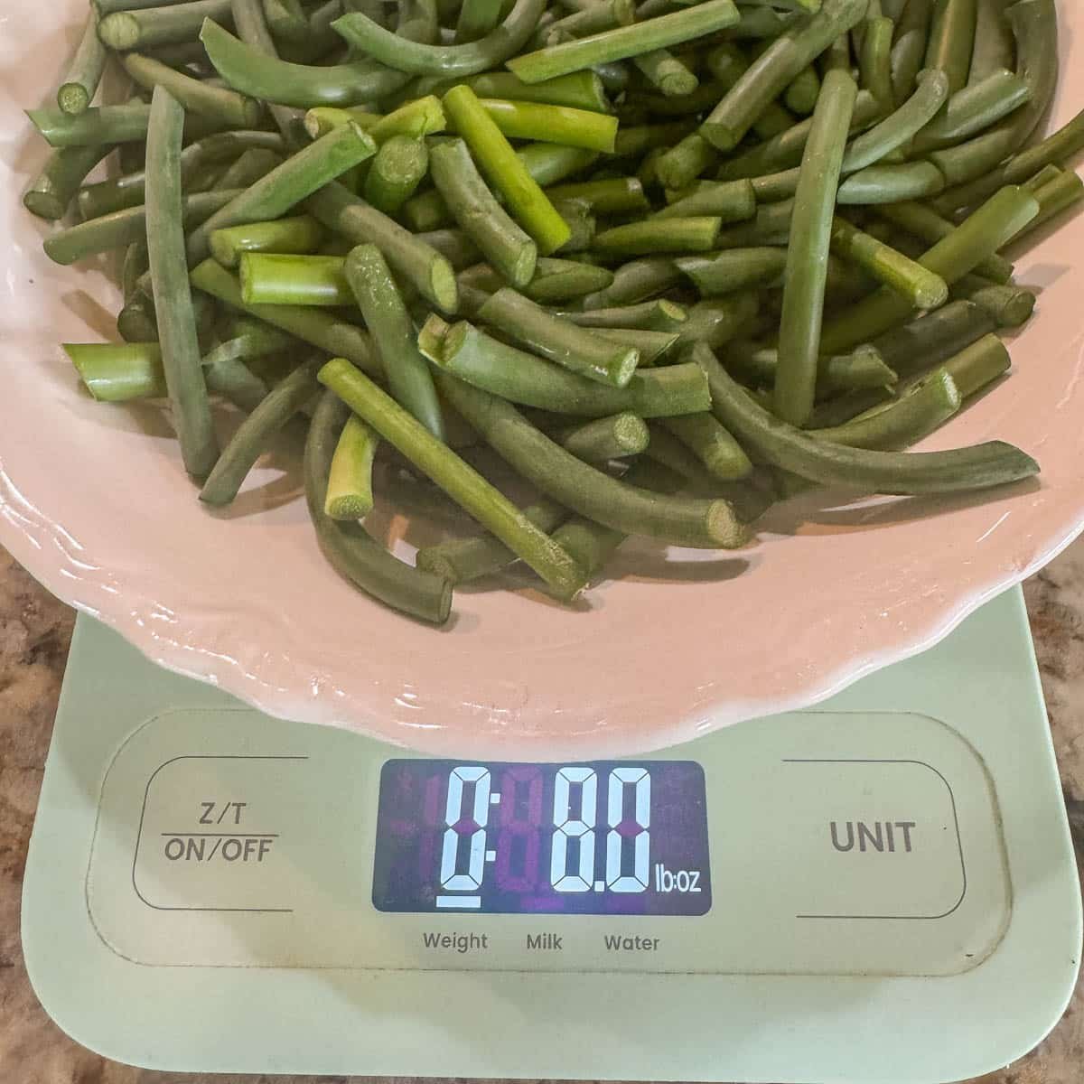 weighting garlic scapes on a kitchen scale. 