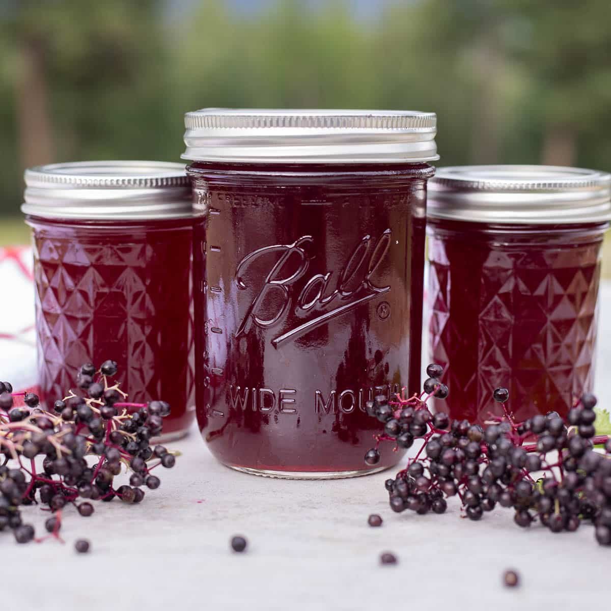 jars of elderberry syrup with elderberries around them.