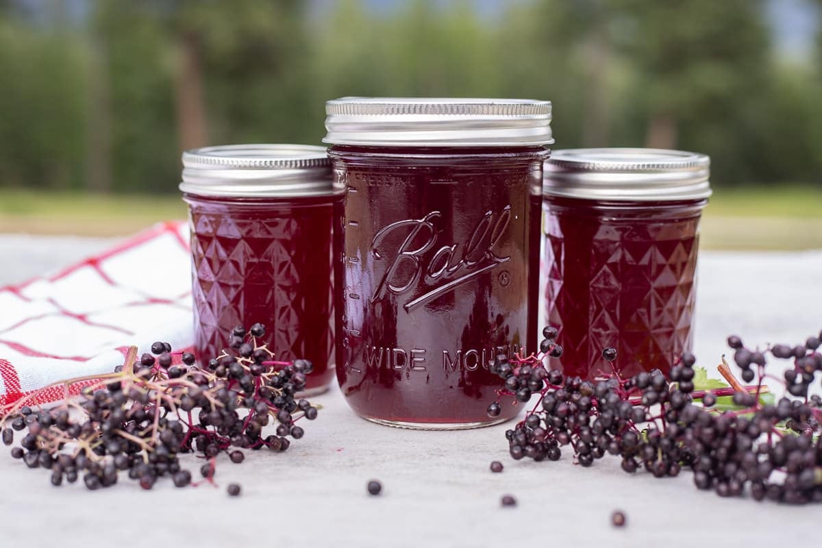 elderberry syrup in 3 jars with elderberries around it.