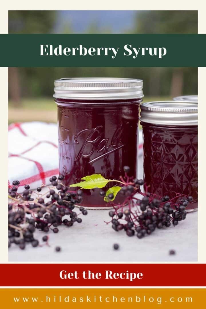 elderberry syrup in jars with elderberries around them.