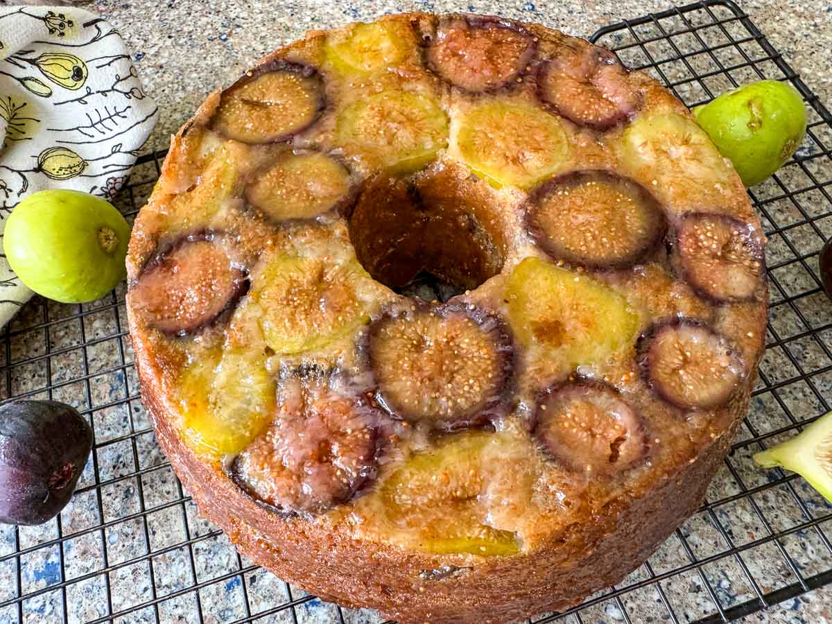 bundt fig cake with figs around it. 