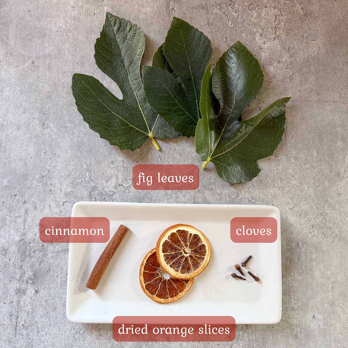 fig leaf tea ingredients.
