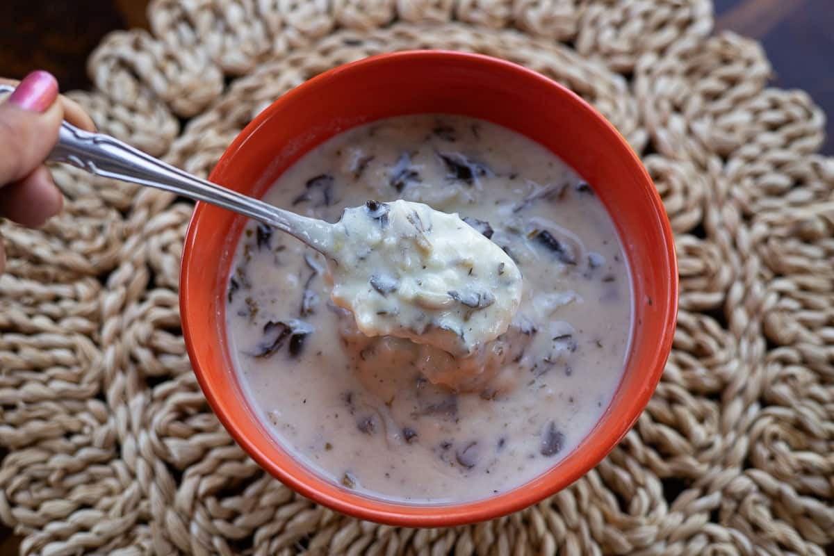 a bowl of yogurt soup in an orange bowl with a spoon in it. 