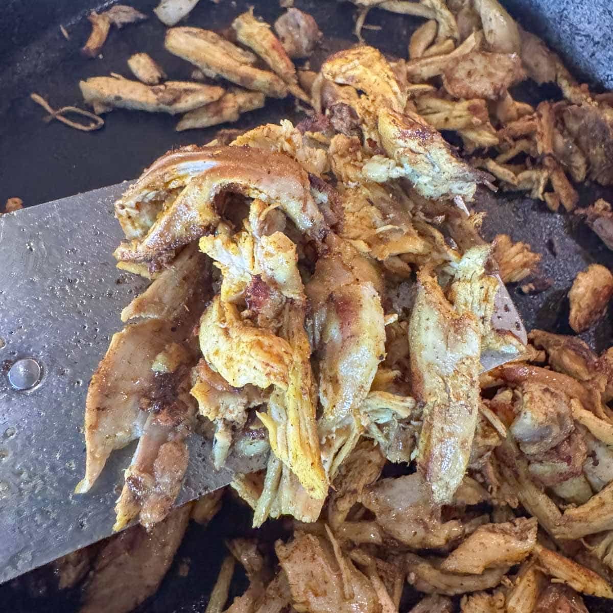 seasoned, shredded chicken being removed from the pan.