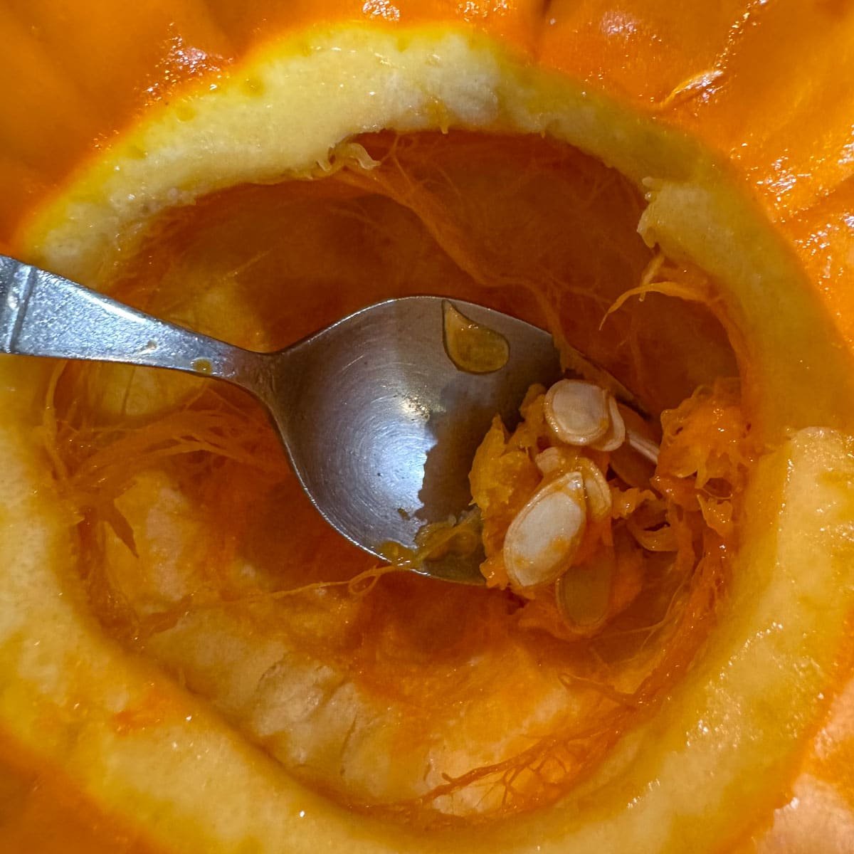 scooping seeds from pattypan squash. 