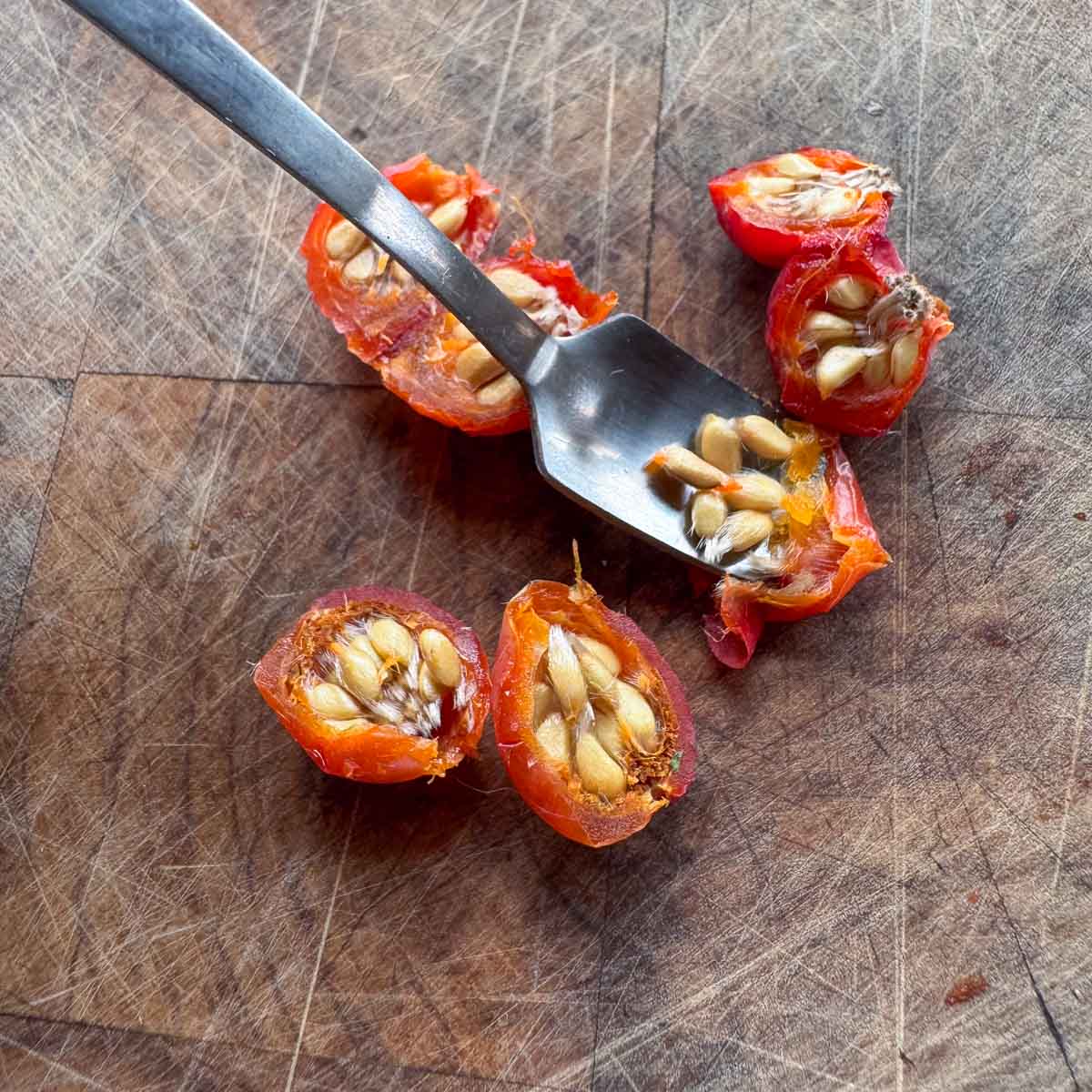 scooping seeds out of rosehips. 