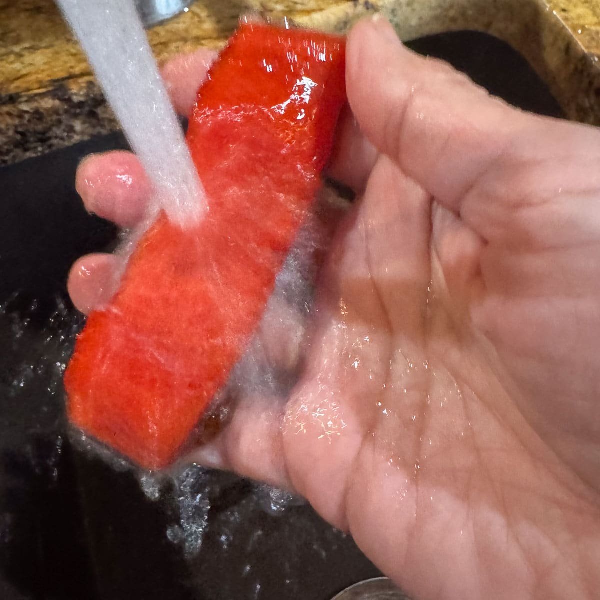 cure being rinsed off of salmon strip