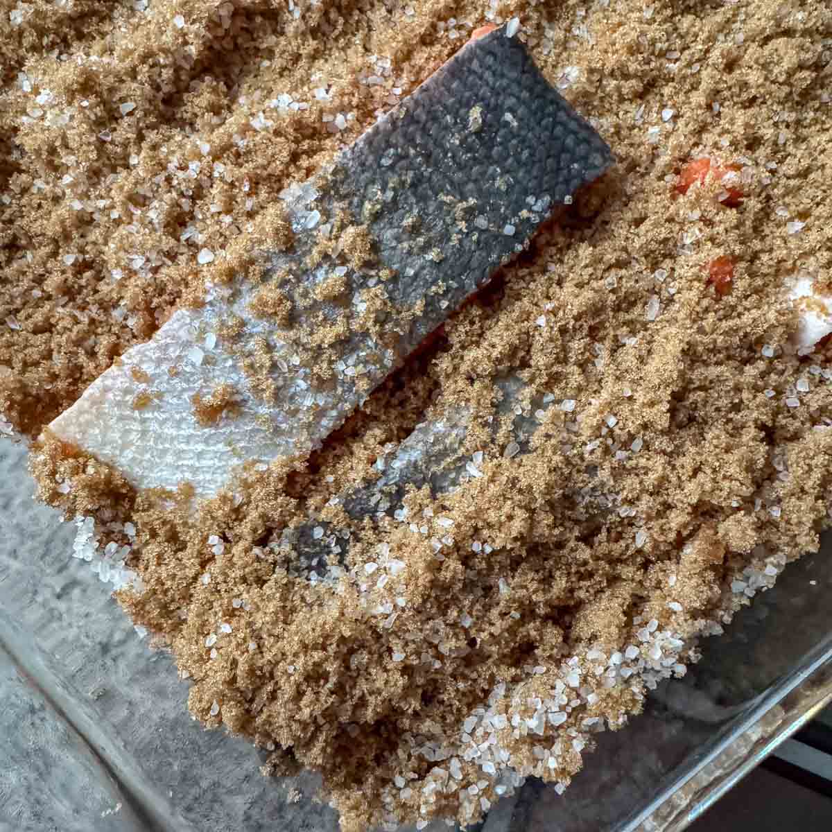 salmon strips in cure