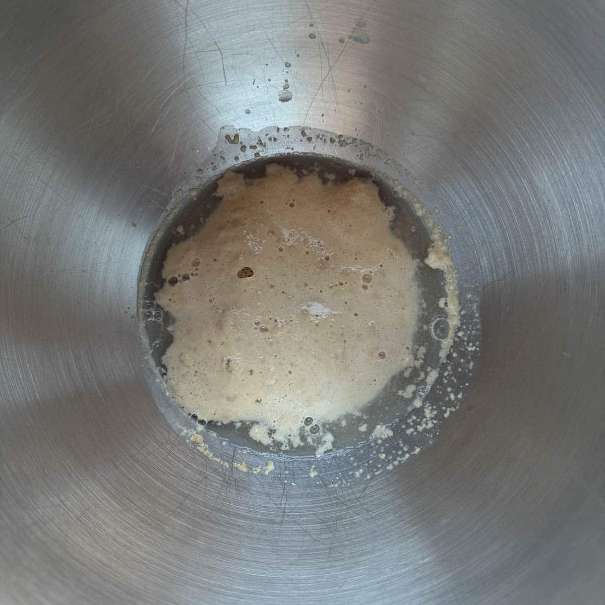 activated yeast in a bowl of water