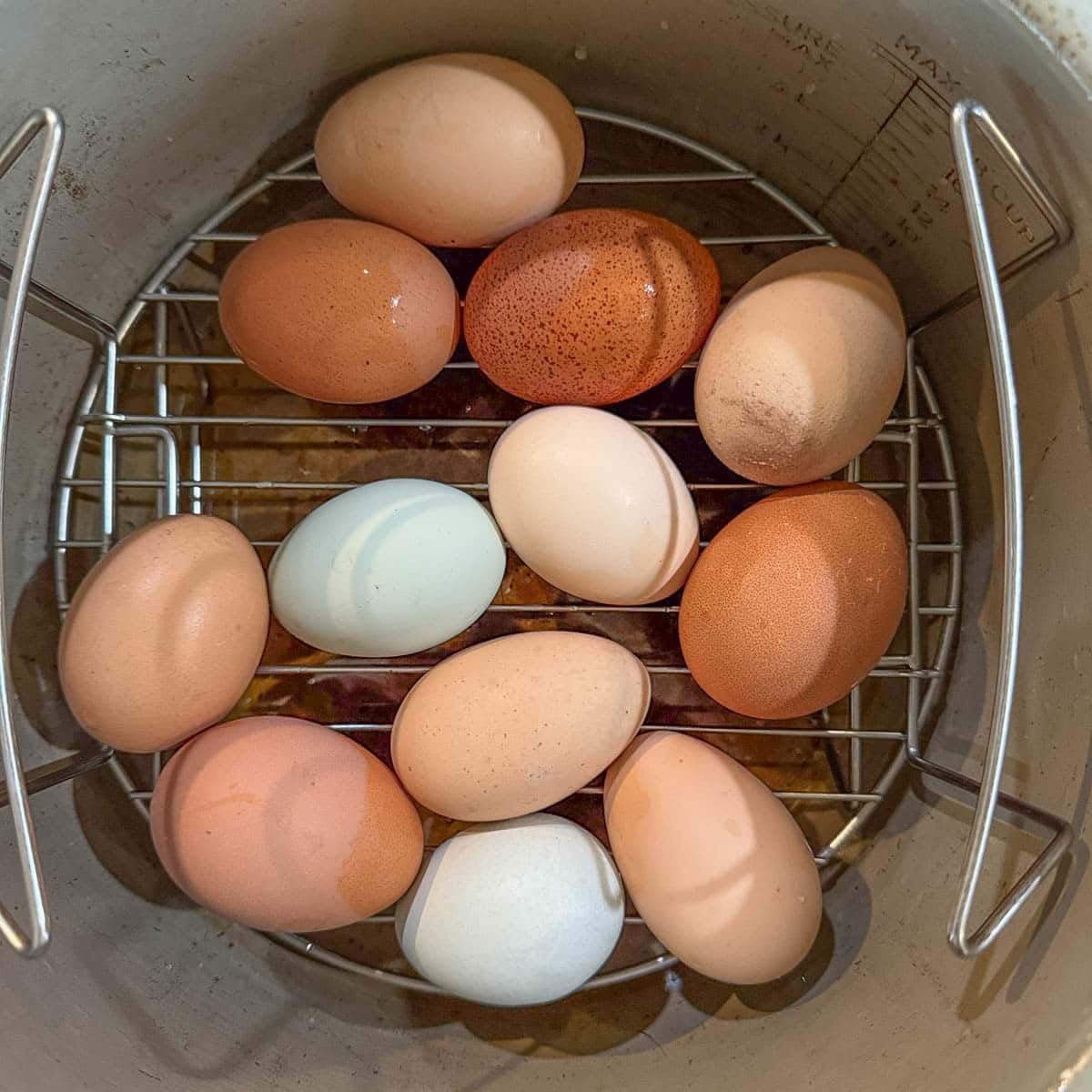 Eggs on a rack in an Instant pot