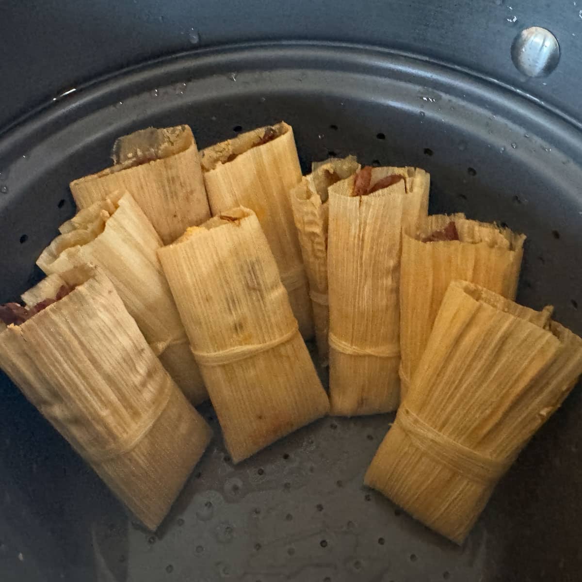 pot with beef tamales