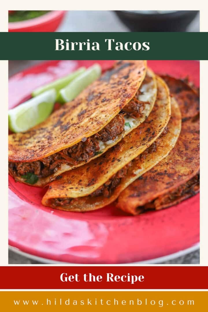 birria tacos pin