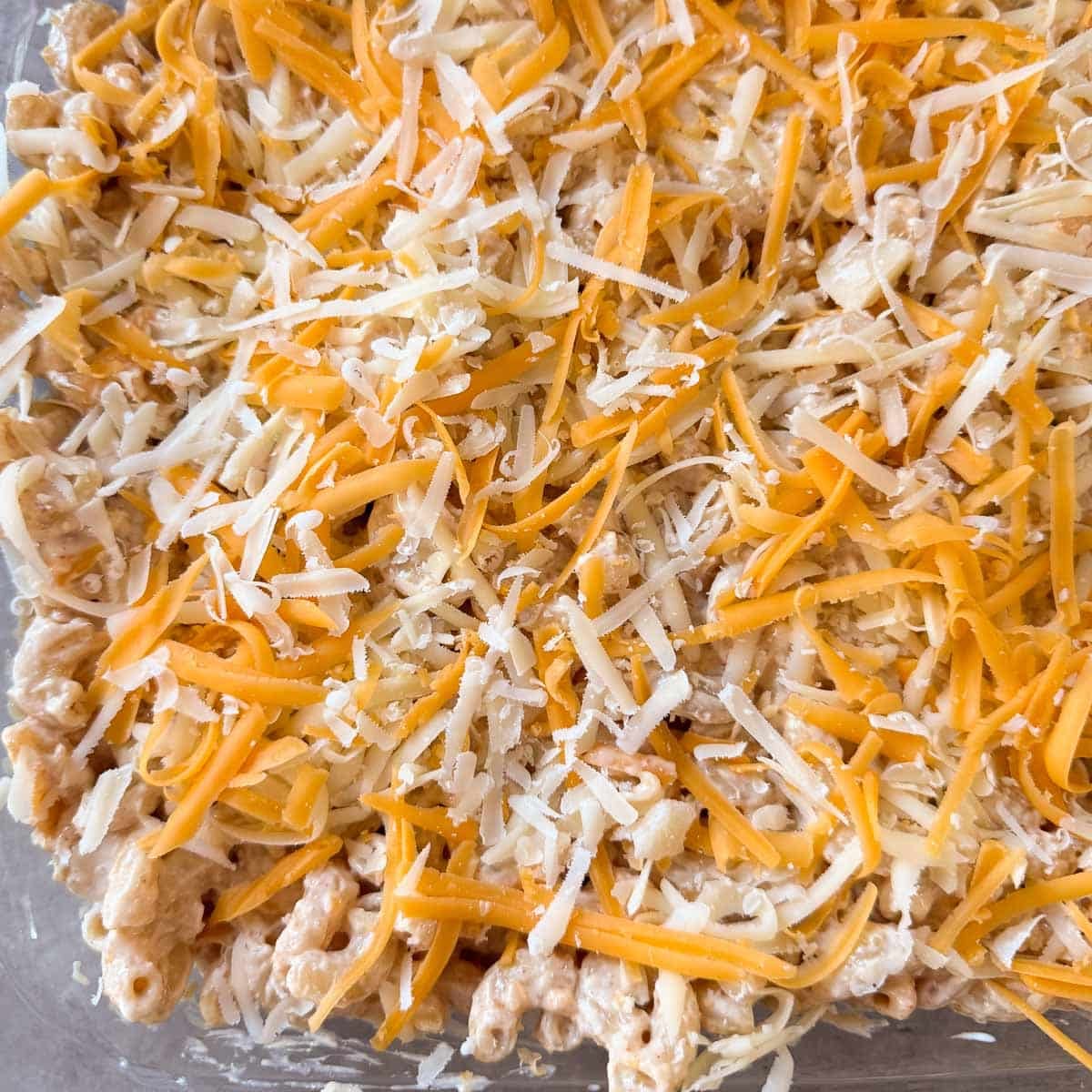 mac and cheese spread into sheet pan and topped with shredded cheese before baking.